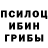 Галлюциногенные грибы прущие грибы Pikrt qwer
