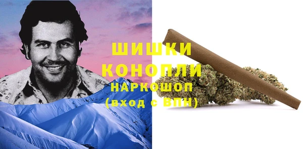 стаф Осинники