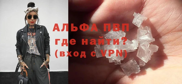 стаф Осташков