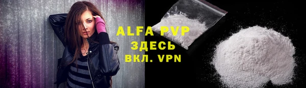 стаф Осинники