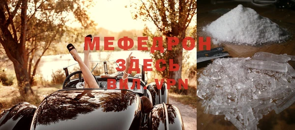 стаф Осинники