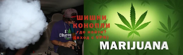 стаф Осинники