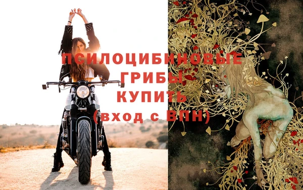 стаф Осташков