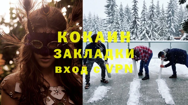 стаф Осинники