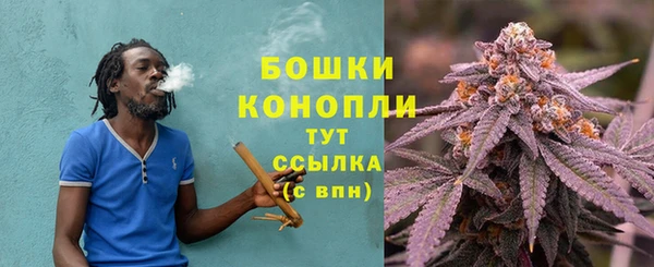стаф Осинники