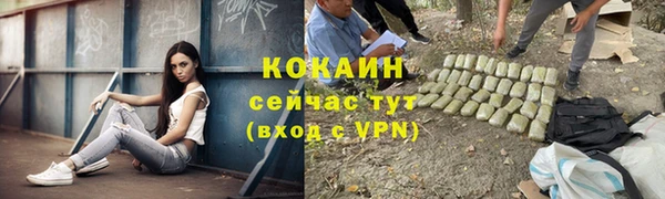 a pvp Гусь-Хрустальный