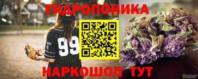 хмурый Бийск