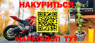 прущие грибы Жуковский